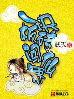 一块板砖闯仙界小说阅读