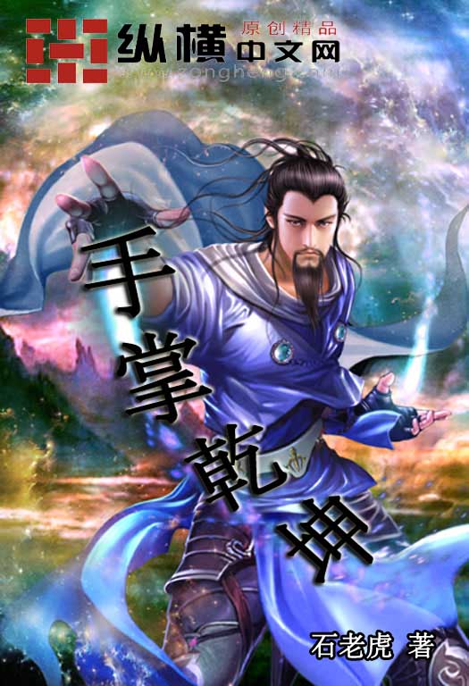 手掌乾坤小说阅读