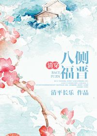 清穿八侧福晋小说阅读