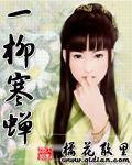 一柳寒蝉小说阅读