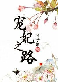 宠妃之路小说阅读