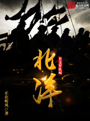有支军队叫北洋小说阅读