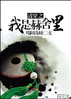 清穿之我是赫舍里小说阅读