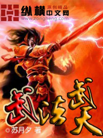 武法武天小说阅读