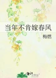 当年不肯嫁春风小说阅读