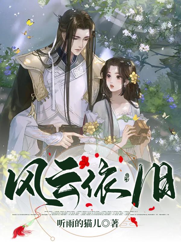 风云依旧小说阅读