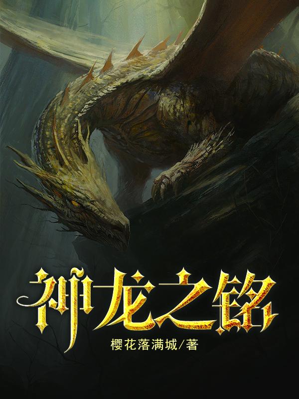 神龙之铭小说阅读