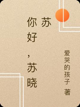 你好，苏晓苏小说阅读