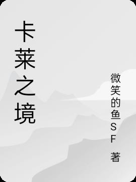 卡莱之境小说阅读