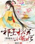誓要休夫：邪王私宠小萌妃小说阅读