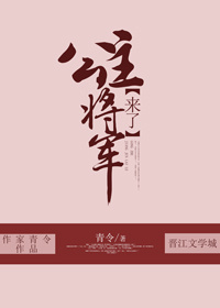 公主，将军来了小说阅读
