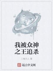 我被众神之王追杀小说阅读