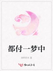 都付一梦中小说阅读