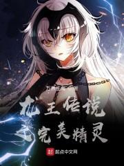龙王传说之完美精灵小说阅读