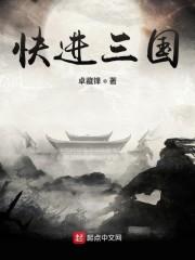 快进三国小说阅读