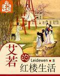艾若的红楼生活小说阅读