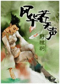 风华若无声小说阅读