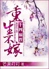 十四福晋重生不嫁小说阅读