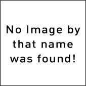 碧落长安小说阅读