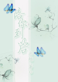 陪你到以后小说阅读