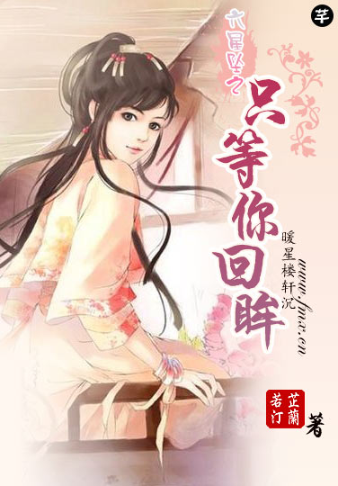 只等你回眸小说阅读