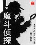 魔斗侦探小说阅读