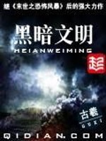 黑暗文明小说阅读