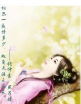 傻子王妃，别想逃！小说阅读