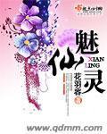 魅仙灵小说阅读