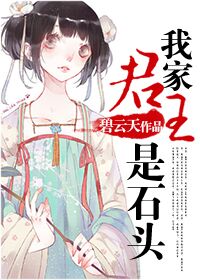我家君王是石头小说阅读