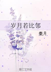 岁月若比邻小说阅读