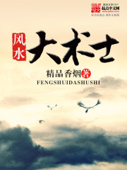 风水大术士小说阅读