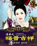 清穿之福晋吉祥小说阅读