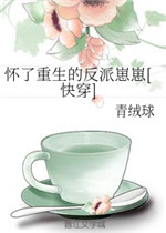 怀了重生的反派崽崽小说阅读