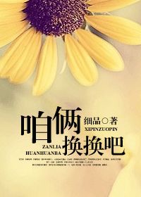 咱俩换换吧小说阅读