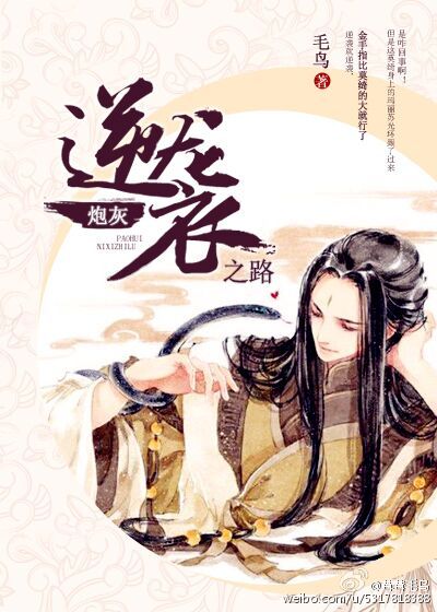 炮灰逆袭之路小说阅读