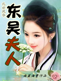 乱世风华：东吴夫人小说阅读