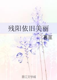 残阳依旧美丽小说阅读