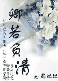 卿若负清小说阅读