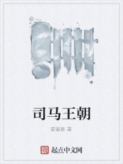 司马王朝小说阅读