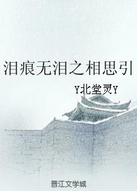 泪痕无泪之相思引小说阅读