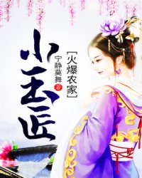 火爆农家小玉匠小说阅读