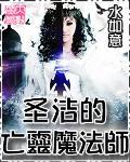 圣洁的亡灵魔法师小说阅读
