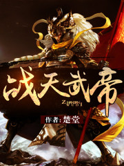 战天武帝小说阅读