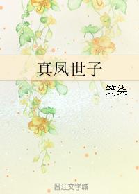 真凤世子小说阅读