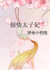 倾情太子妃小说阅读