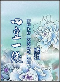 四皇一后小说阅读
