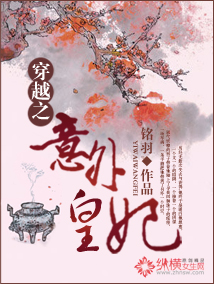 穿越之意外皇妃小说阅读