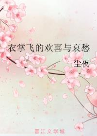 衣掌飞的欢喜与哀愁小说阅读
