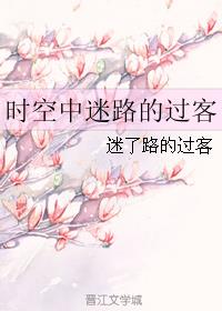 时空中迷路的过客小说阅读